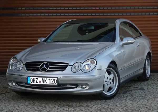 samochody osobowe Mercedes-Benz CLK cena 15800 przebieg: 240000, rok produkcji 2004 z Janikowo